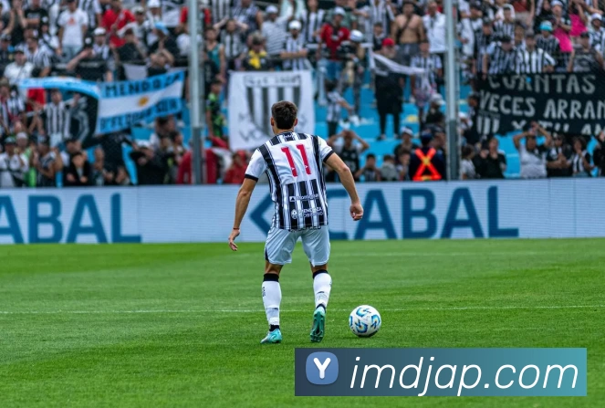 IM电竞App平台生态图