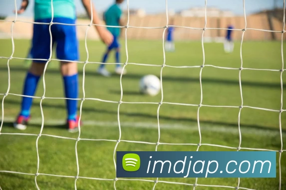 IM电竞AppAPP 封面图